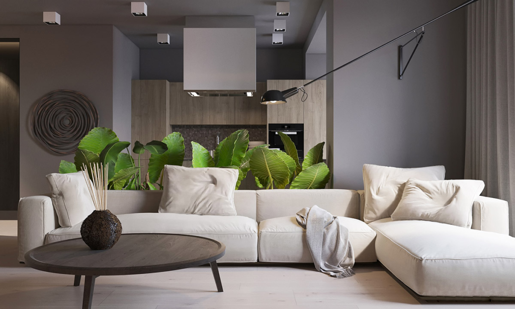 Gray Living Room Ideas