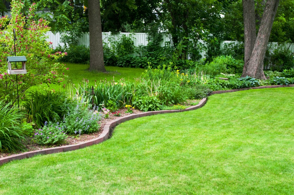 Is Garden Edging Necessary? Essential Factors to Consider When Choosing the Edging Material Design Stories